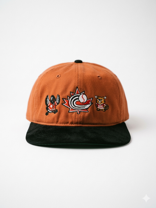 CDN